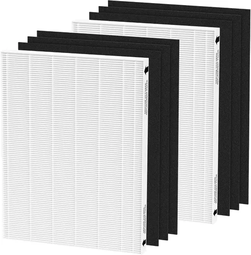 Paquete de 2 filtros de repuesto para purificador de aire Aeramax 290 300 DX95 y HF-300 AP-300PH, parte # 9287201, 2 filtros principales + 6