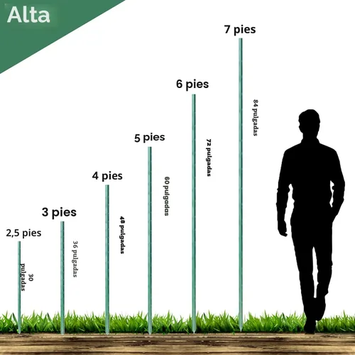 Miniatura 4 de WAENLIR Estacas para plantas de jardín, para soporte, para tomates, 5 pies / 1.52 metros, Paquete de 50