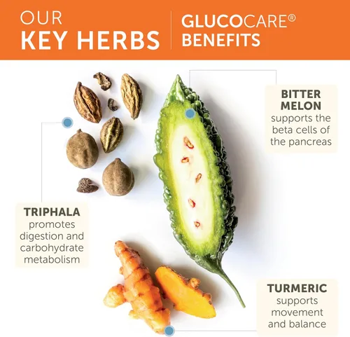 Miniatura 4 de Himalaya GlucoCare - Metabolismo de la glucosa a base de hierbas y apoyo pancreático con melón amargo, gimnasia, trifala y cúrcuma - Soporte natural
