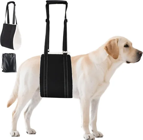 Miniatura 14 de AIITLE Eslingas mejoradas para perros pequeños – Arnés de soporte para patas traseras y cadera, ayuda de elevación de rehabilitación súper suave