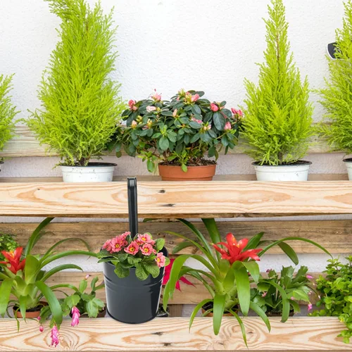 Miniatura 6 de KINGLAKE Macetas de flores, 10 macetas de metal para colgar en hierro, balcón, jardín, plantas, cestas para vallas, 4 pulgadas, soportes para flores