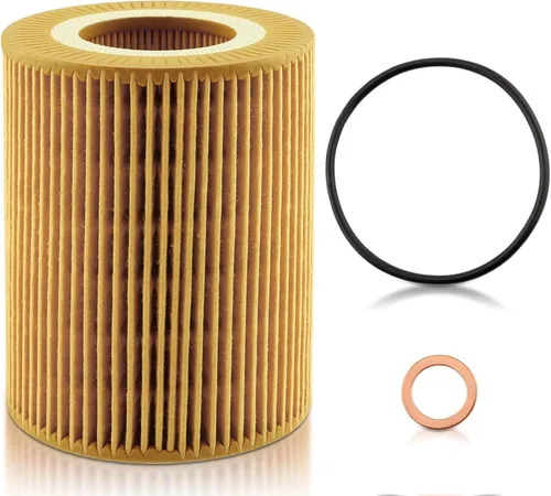 AUTOKAY Filtro de aceite de motor con junta de carcasa para BMW E39 E46 E60 X3 X5 Z3 Z4 525i 530i 323Ci 328Ci 323i 323is 325is 328i 325xi 330Ci 330i