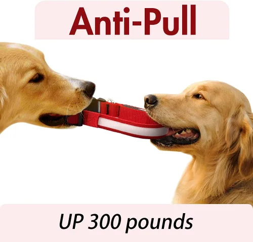 Miniatura 4 de YFbrite Collar de Perro LED Ultra Ligero Ajustable, Collares de Perro Iluminados Recargables que Brillan en la Oscuridad, Visibilidad y Seguridad