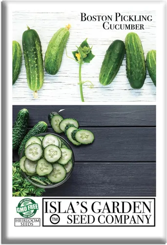 Boston Pickling - Semillas de pepino para plantar, más de 100 semillas tradicionales por paquete, semillas de jardín de Isla (semillas de jardín de