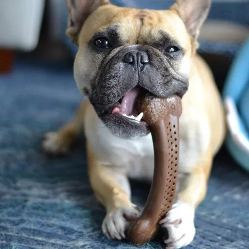 Miniatura 10 de Pet Qwerks Barkbone Flavorit - Hueso con sabor a mantequilla de maní – Superficie rellenable para untes; juguetes resistentes y duraderos