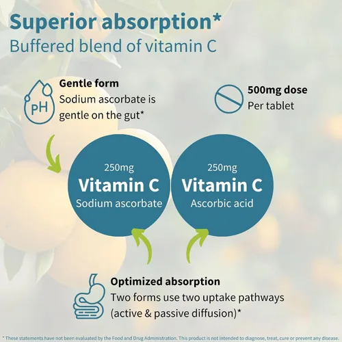Miniatura 3 de Igennus - Vitamina C suave tamponada masticable 250-500 mg, niños y adultos, absorción optimizada con ascorbato de sodio y ácido ascórbico, sin
