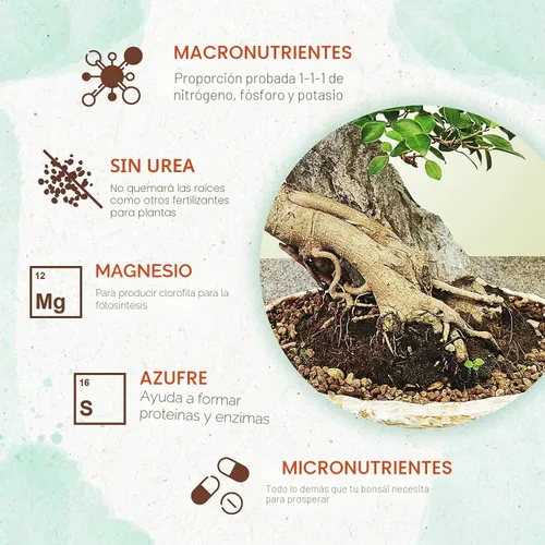 Miniatura 3 de Fertilizante para bonsái, pellets suaves de liberación lenta para plantas, ideal para todas las plantas de árboles bonsái de interior y exterior