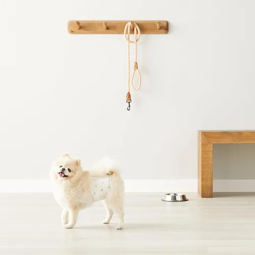 Miniatura 7 de Amazon Basics Pañales para perros machos, 30 unidades, XS, ultra absorbentes, desechables, con ajuste seguro, a prueba de fugas y cómodos