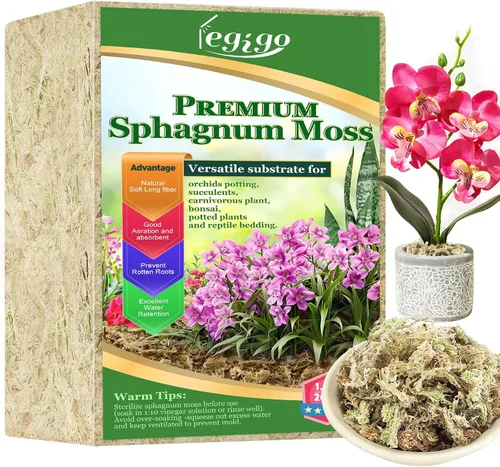 Miniatura 8 de Legigo 100 g de musgo natural esfagno para plantas, mezcla para macetas de orquídea de fibra larga 4QT, musgo esfagno seco para plantas