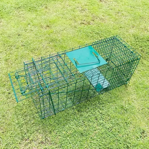 Miniatura 5 de Trampa de jaula plegable de 26" para animales vivos de PULOMI, kit de captura sin matar para conejos, gato callejero, ardilla, mapache, todos