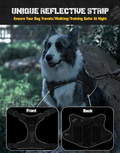 Miniatura 5 de Arnés militar para perro, sin tirones, con asa y Molle, de fácil control, arnés para perro, arnés de entrenamiento para caminar, ajustable, Verde