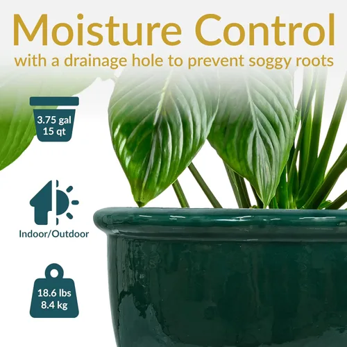 Miniatura 2 de Sunnydaze Maceta grande de cerámica redonda - Maceta de planta exterior esmaltada con drenaje - Chalet - Verde oscuro - 14.5
