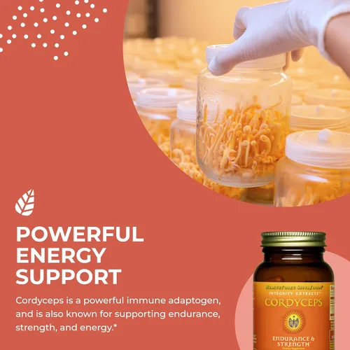 Miniatura 4 de HEALTHFORCE SUPERFOODS Integrity Extracts Cordyceps - Cápsulas - 90 Cápsulas Veganas