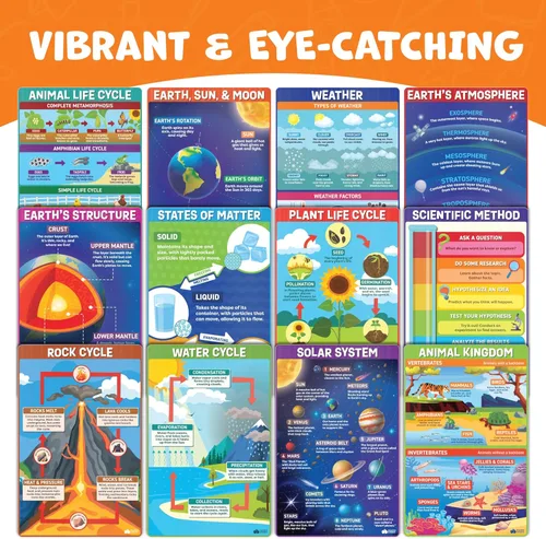 Miniatura 19 de Momo & Nashi Mapa de Estados Unidos para niños y mapas del mundo para niños, juego de 2 piezas – 24 x 16 pulgadas – Carteles impermeables para aula