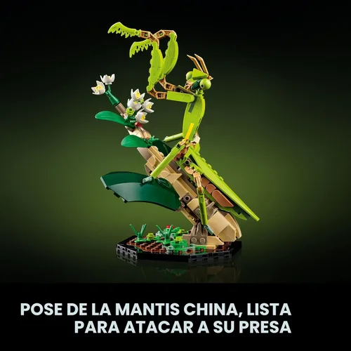 Miniatura 5 de LEGO Ideas La Colección de Insectos, Divertido Regalo para Amantes de la Naturaleza, con Modelos de Mariposa Azul Morpho a Tamaño Real, Escarabajo