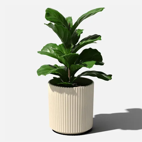 Miniatura 8 de Veradek Demi Series Maceta redonda para porche, patio, jardín trasero Material duradero de plástico-hormigón Decoración moderna para plantas