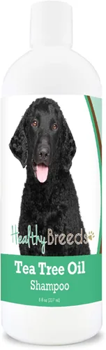 Miniatura 145 de Healthy Breeds Doberman Pinscher Champú de aceite de árbol de té, formulado para piel seca e irritada, reduce la caspa, aroma a gaulteria, 8 onzas