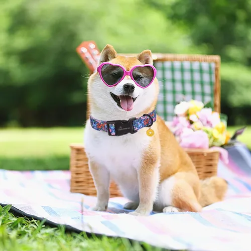 Miniatura 57 de Aring Pet Collar de algodón, lindo, con hebilla de liberación rápida, para bodas, para perros pequeños, medianos y grandes, rosa Terciopelo rosa