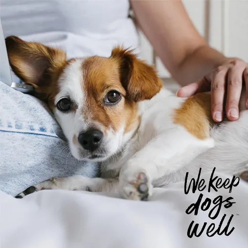 Miniatura 6 de DOGSWELL Remedy + Recovery Loción de hidrocortisona al 0.5% para perros, 4 onzas (el embalaje puede variar)