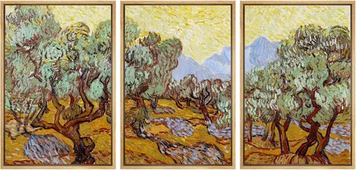 Miniatura 166 de Lienzo decorativo para pared - cuadro con estampado Giclée para decoración del hogar Noche estrellada sobre el Ródano