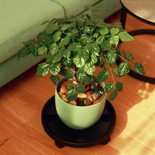 Miniatura 7 de Paquete de 3 organizadores grandes para plantas con ruedas de 13 pulgadas, soportes rodantes para plantas de plástico resistente, base rodante