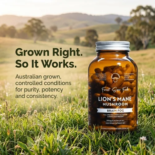 Miniatura 2 de Forest Super Foods Cápsulas de hongos melena de león cultivados en Australia, concentración, memoria y apoyo nervioso, 120 cápsulas veganas