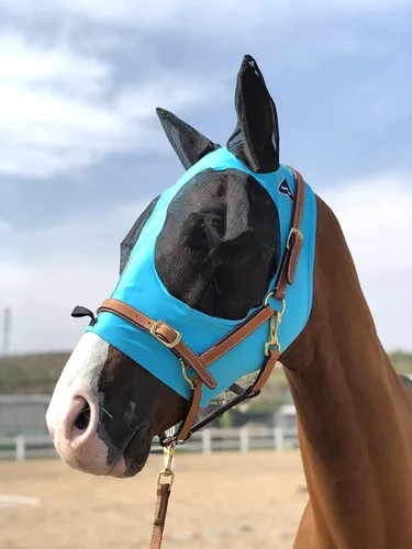 Miniatura 4 de Máscara para caballo Tgw Riding, con orejas, con agarre extracómodo, de malla suave, Azul, M Pacific Blue