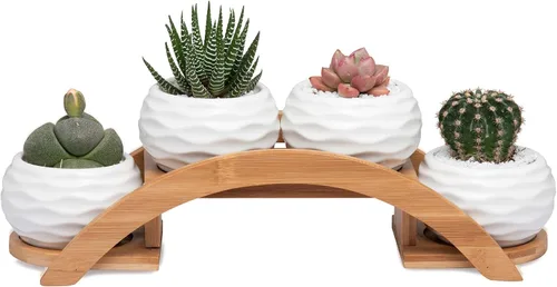 E-liu Juego de macetas y soporte para suculentas, maceta de cerámica blanca con drenaje, paquete de 4, bonita decoración de interiores de oficina,