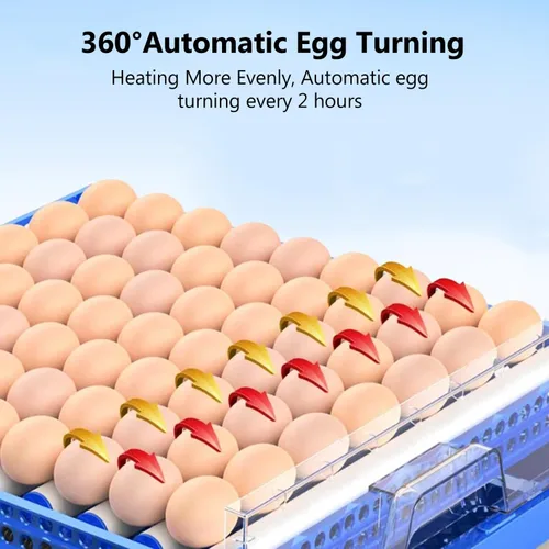 Miniatura 3 de Incubadora Automática de Huevos, Incubadoras Grandes para Incubar Huevos con Giro Automático de Huevos y Control de Temperatura, Máquina Incubadora