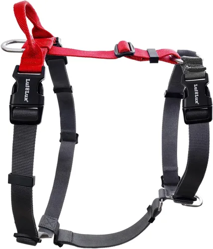 Miniatura 12 de Arnés para perro no restrictivo, fácil libertad de caminar, arnés sin tirones, mantiene el equilibrio, hebilla de cuello, ajuste de seis puntos, 2