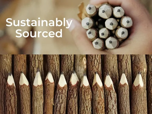 Miniatura 7 de BSIRI Paquete de 12 lápices de madera negra de 3 pulgadas con diseño de corteza de árbol en lápices de ramitas rústicas de madera, regalos únicos