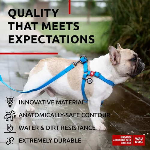 Miniatura 4 de WAUDOG Arnés ajustable impermeable para perro, resistente con cierre de metal duradero y placa de identificación QR, para niño y niña