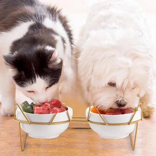 Miniatura 5 de Trosetry Cuencos para gatos, cuencos dobles de cerámica para mascotas con soporte elevado inclinado 15° para alimentos y agua, comedero antivómito