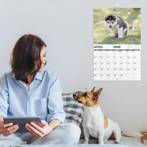Miniatura 7 de Gag Gifts - Calendario 2021, calendario de pared, perros haciendo popo, para regalos de broma, enero a diciembre del 2021, 28 x 43.18 cm