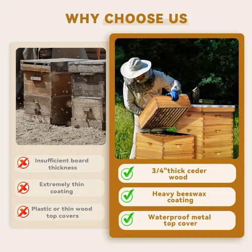 Miniatura 7 de POLLIBEE Colmena de abejas de 10 marcos, kit de colmena recubierta de cera de abeja para el cuidador de abejas, colmena completa incluye 1 caja