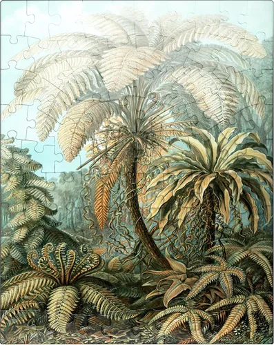 Miniatura 8 de MyPuzzle Fern (Filicinae) - Formas de arte en la naturaleza, póster de arte vintage, Ernst Haeckel - Rompecabezas prémium de 1000 piezas para adultos