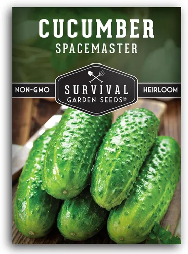Miniatura 10 de Semillas de pepino Spacemaster para plantar Variedad compacta autóctona sin OMG para jardines de espacios pequeños – Semillas de jardín