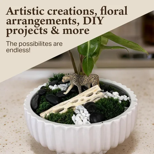 Miniatura 4 de Musgo de estado de ánimo preservado - Musgo decorativo - Musgo seco para manualidades, decoración del hogar, proyectos de arte, diseño y bricolaje