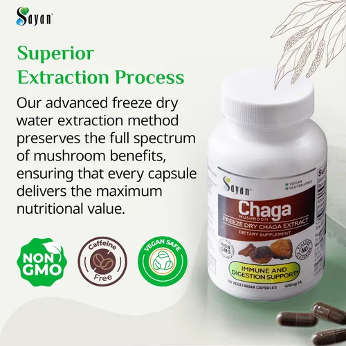 Miniatura 6 de Sayan Extracto de hongo chaga siberiano – 90 cápsulas/420 mg ea – Suplemento antioxidante natural y de cosecha silvestre – Apoyo del sistema
