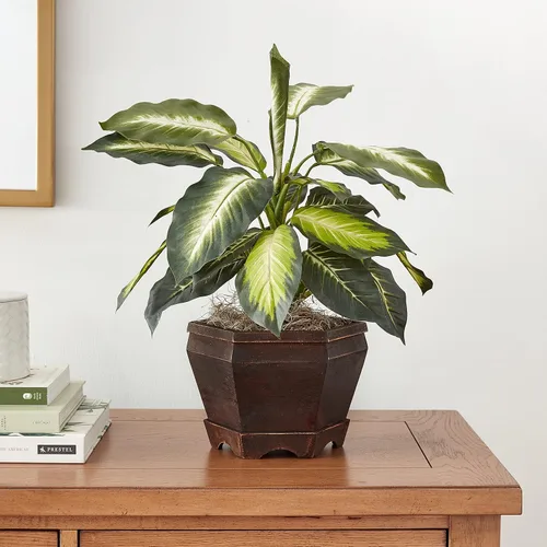 Miniatura 4 de Nearly Natural Dieffenbachia dorada con jarrón de madera Planta de seda