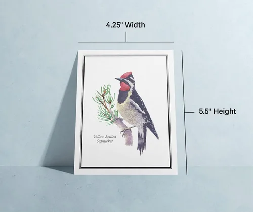 Miniatura 7 de Twigs Paper - Tarjetas de felicitación de aves americanas surtidas - Tarjetas de papelería con sobres, tarjeta de agradecimiento, tarjetas de notas