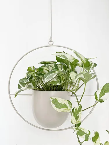 Miniatura 7 de RISEON - Colgador de plantas bohemio de oro metálico, maceta colgante de metal para pared y techo, moderna, soporte para plantas de mediados