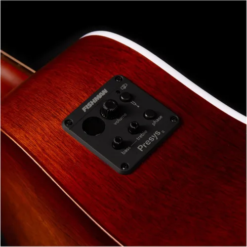Miniatura 6 de SEAGULL Entourage Otoño Burst Presys II