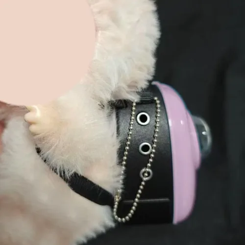 Miniatura 4 de Mochila de muñeca para Labubu, mini mochila llavero para disfraz de Labubu, lindas bolsas de muñeca para accesorios Labubu