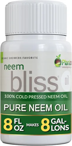 Neem Bliss (8 onzas líquidas) - Concentrado de aceite de neem puro - Aceite de neem 100% prensado en frío - Concentrado de aceite de neem totalmente