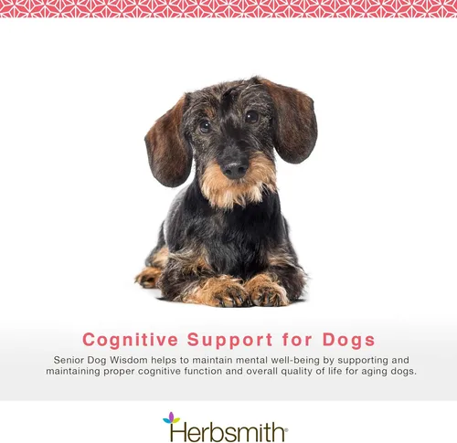 Miniatura 3 de Herbsmith Senior Dog Wisdom – Suplemento de demencia para perros – DHA para la salud cerebral del perro mayor – Suplemento para perros mayores
