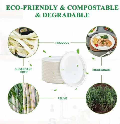 Miniatura 3 de Vplus Platos de papel 100% compostables ovalados 30 cm 125 unidades Platos de papel desechables súper resistentes de bagazo natural biodegradables