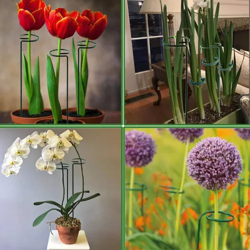 Miniatura 5 de Soporte de estaca para plantas, paquete de 6, anillos de soporte de jaula de plantas de un solo tallo para jardín, estacas de soporte para plantas