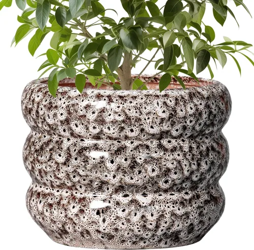 Miniatura 17 de Maceta de cerámica SQOWL para plantas de 8 pulgadas - Maceta de interior con orificio de drenaje para plantas de exterior, maceta floral moderna