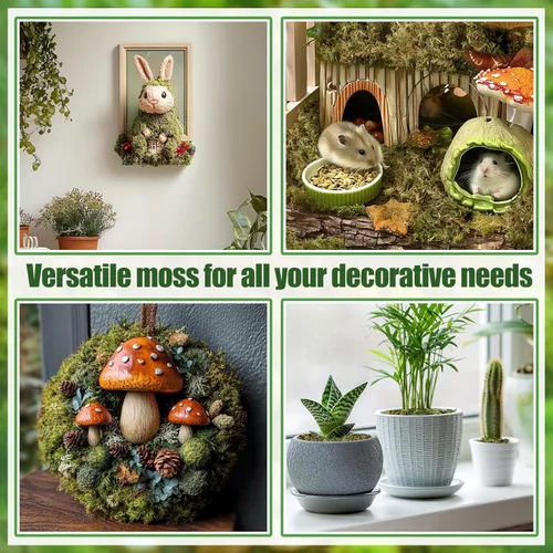 Miniatura 5 de Alphatool Paquete grande de musgo verde natural de 17 onzas para manualidades, musgo a granel para plantas de interior, jardines de hadas 17 oz